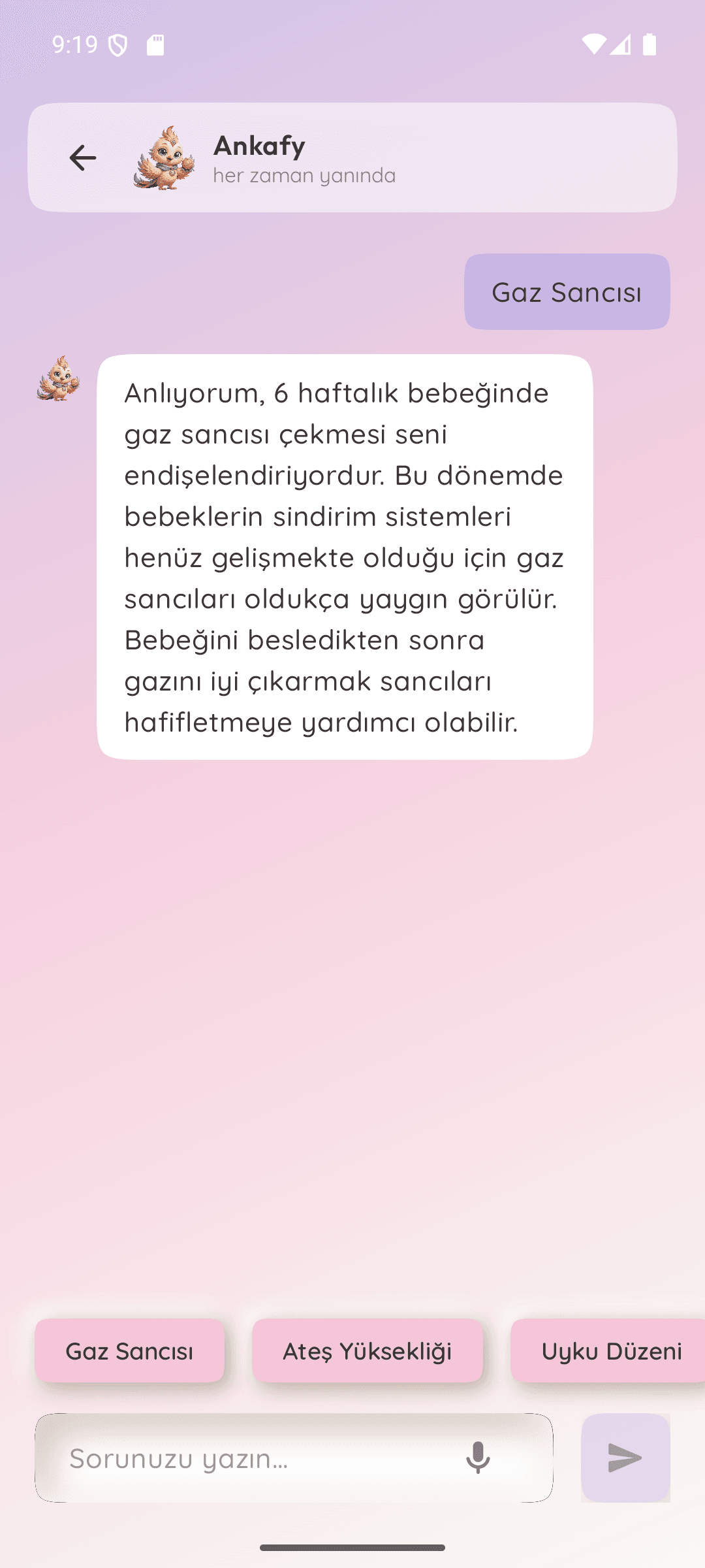 Sohbet asistanı